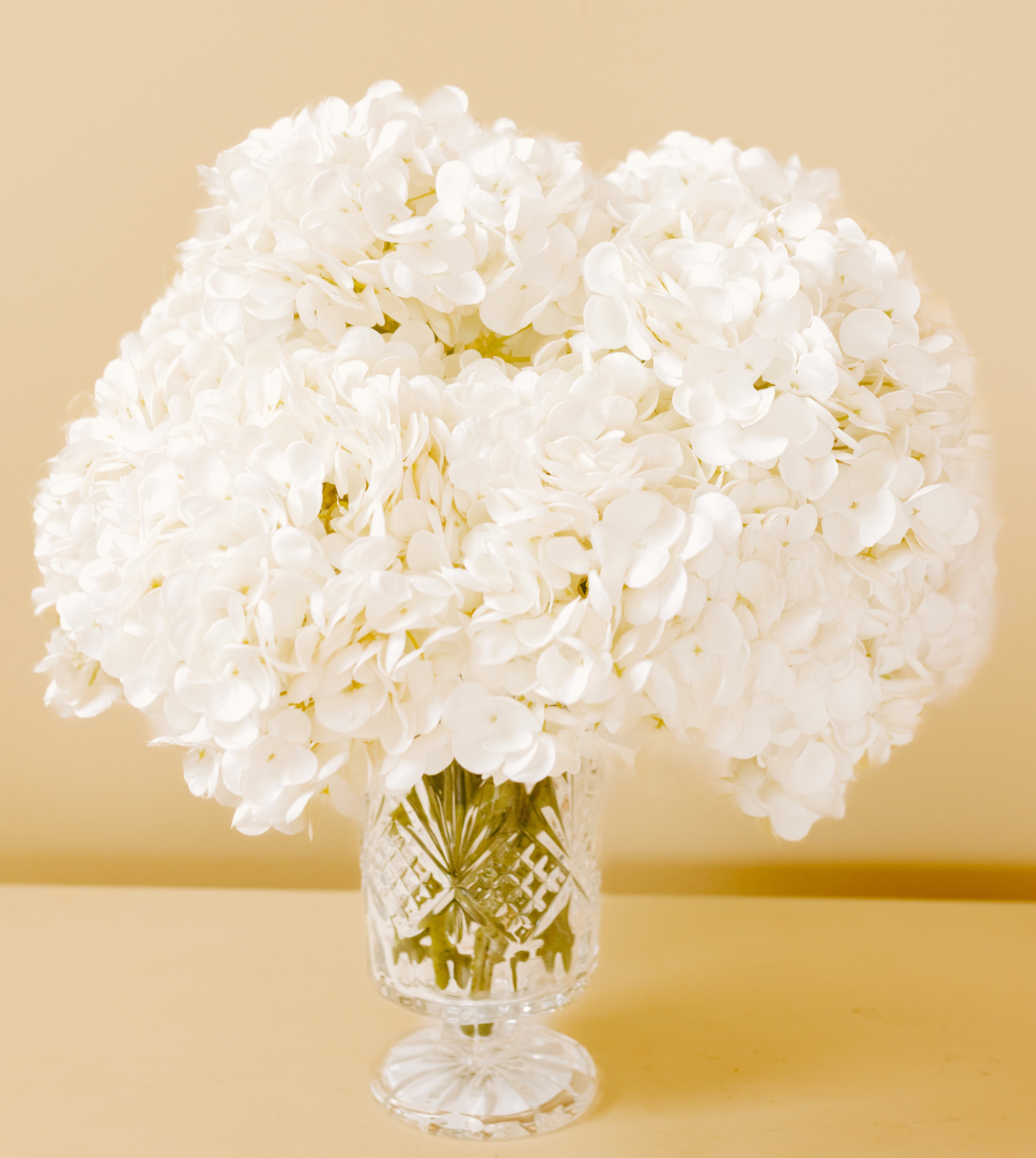 Drawing Room collection floral design detail — Drawing Room 3
